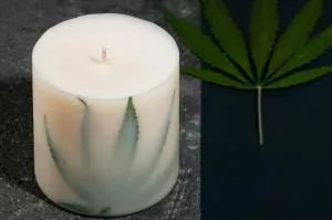 TL Candles Candela di soia con profumo di salvia XL