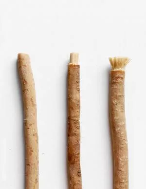 Yoni Spazzolino da denti naturale di Salvadora persica (separato)
