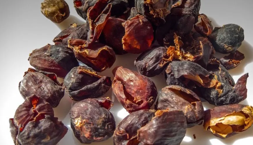 Scoprite il fascino della cascara e i suoi benefici