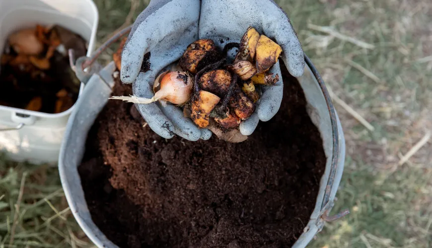 Cosa puoi compostare e cosa è meglio evitare