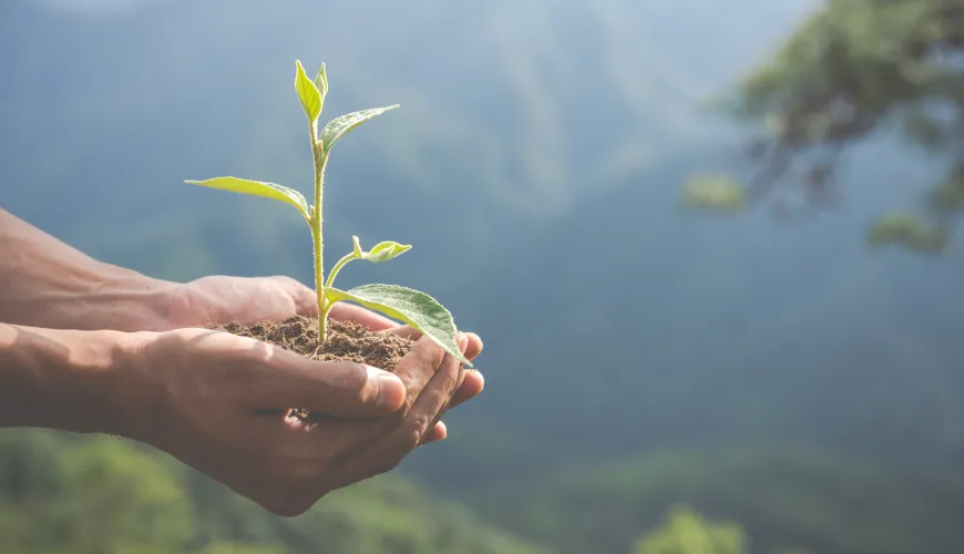 ## Co to je greenwashing a jak ho rozpoznat

Greenwashing je praktika, kdy společnosti nebo organiza