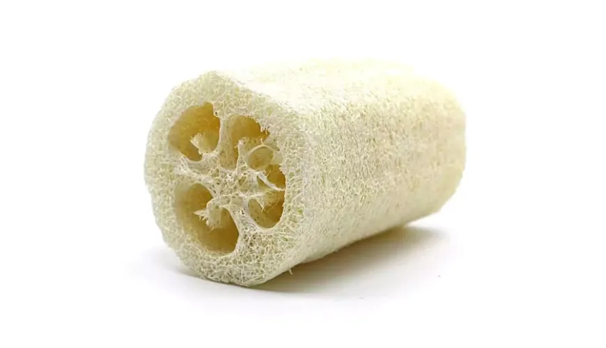 Spugna di luffa pratica - alternativa naturale alla plastica