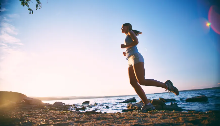 Collagene bovino come supporto efficace per il corpo e la sua rigenerazione