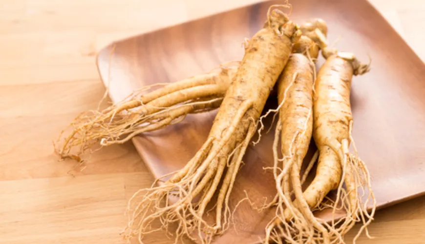 Quale ginseng ti darà energia e migliorerà la tua performance?